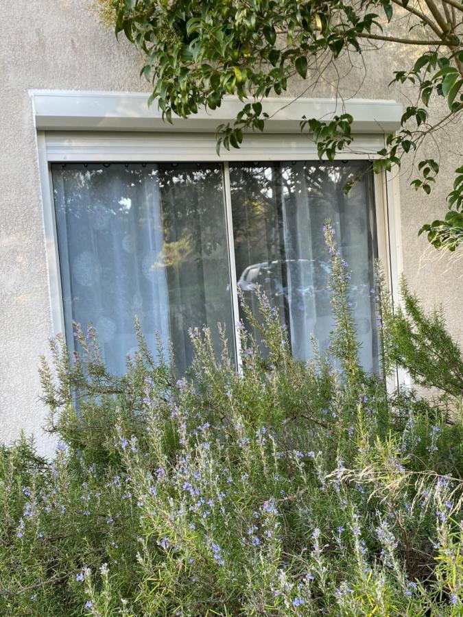 Mas Des Tournevents Bed and Breakfast Lézignan-Corbières Eksteriør billede